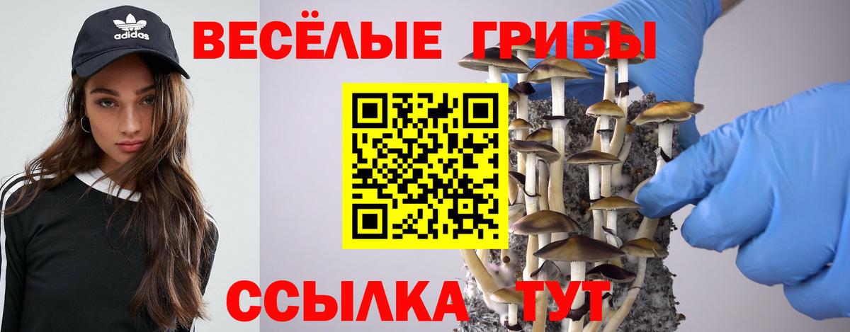 Псилоцибиновые грибы мухоморы Барабинск